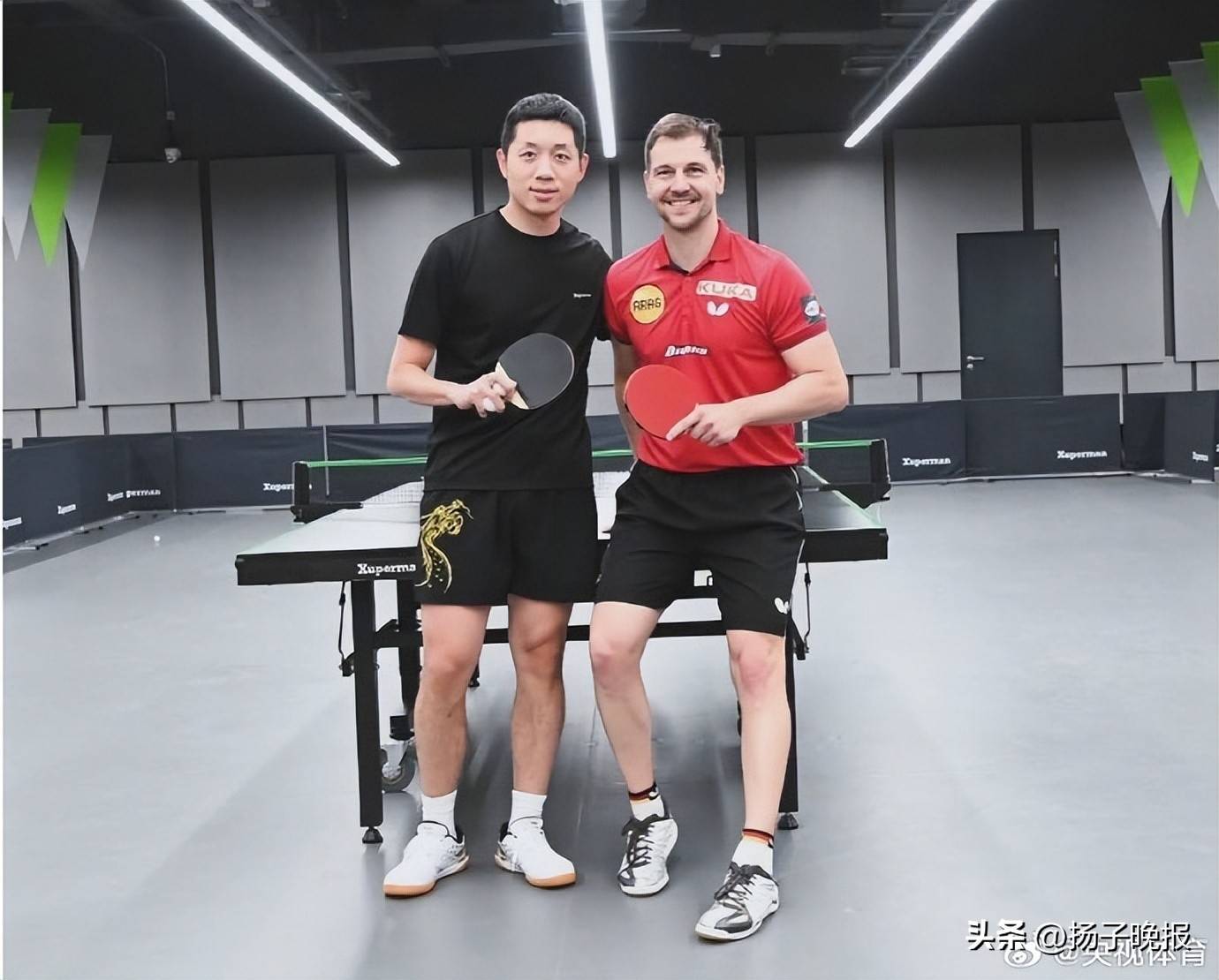 包含比利时乒乓球队绝杀奥地利乒乓球队，波尔打破历史纪录的词条