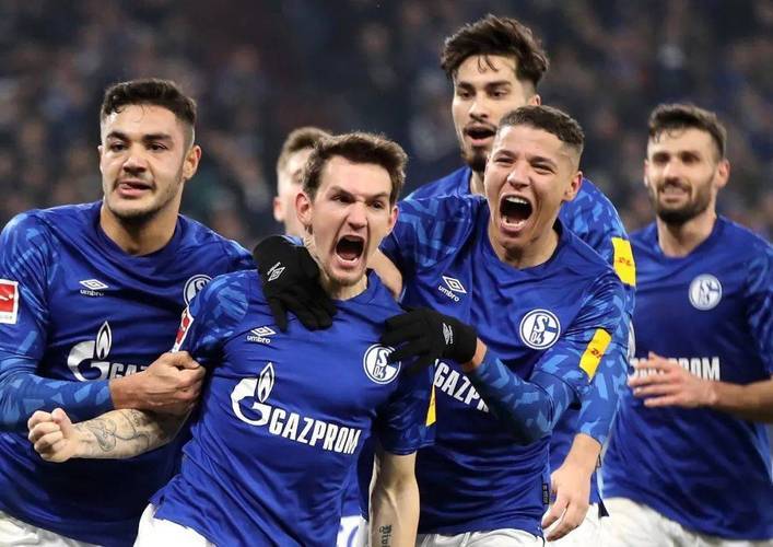 汉诺威队员表现出色，主场取胜