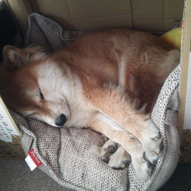 大场面先生,詹姆斯在NBA季后赛之夜的传奇定义