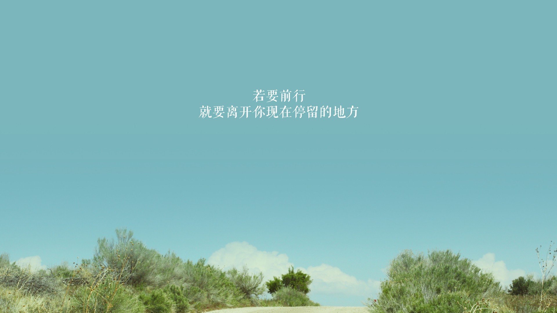 双城记，范弗利特世界杯封神之夜，映照勇士铁血晋级路